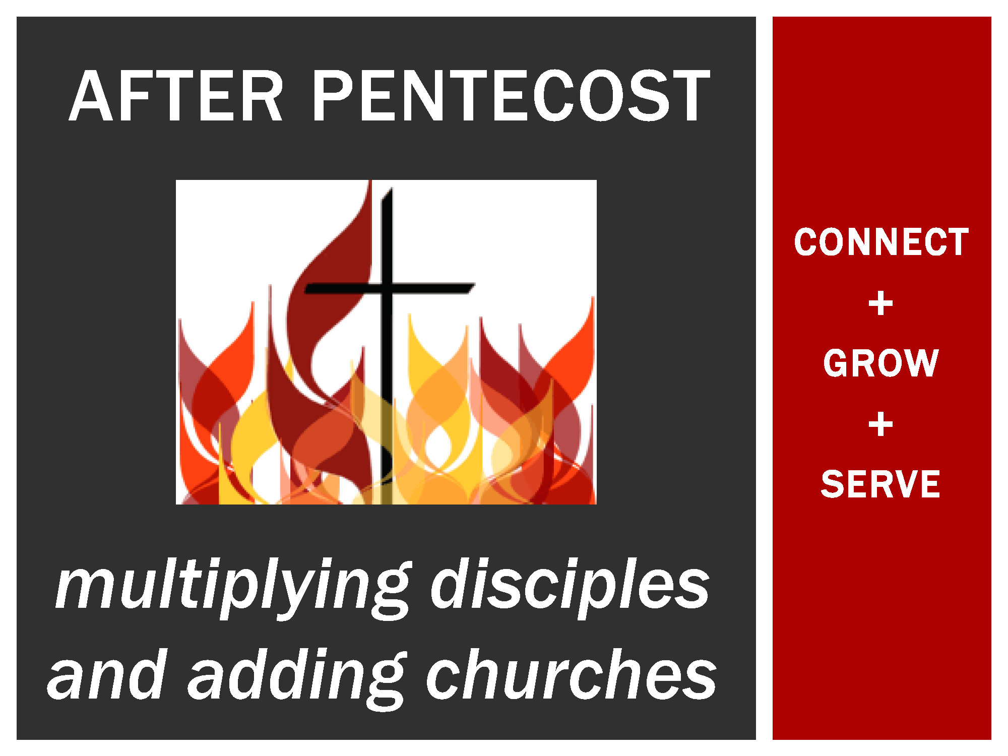 Discipleship After Pentecost Rev Cynthia Johnson Oliver